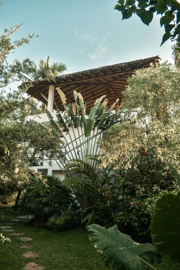 Casa Gitano Hotel Ахангама Екстериор снимка