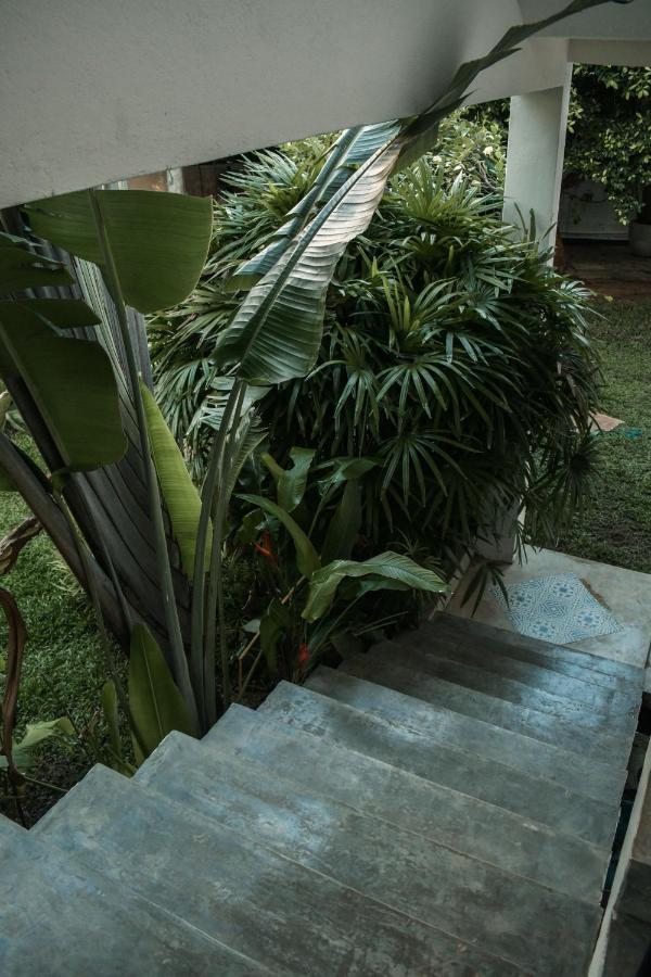 Casa Gitano Hotel Ахангама Екстериор снимка